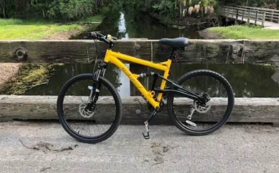gravity fsx 1.0 bike
