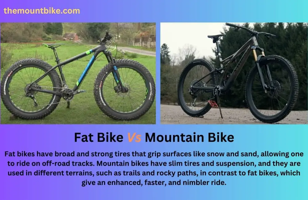 Fat Bike Vs Mountain Bike