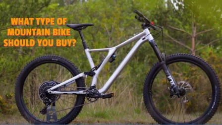 What Type Of Mountain Bike Should you Buy?
