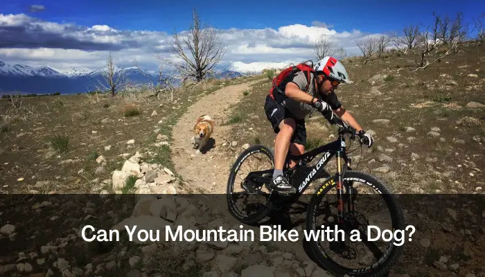 Can You Mountain Bike with a Dog