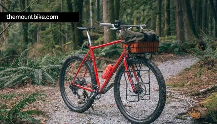 Can You Put a Basket on a Mountain Bike