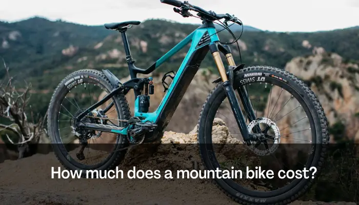 How Much Does a Mountain Bike Cost