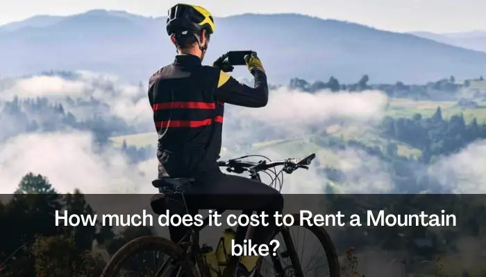 How Much Does It Cost to Rent a Mountain Bike
