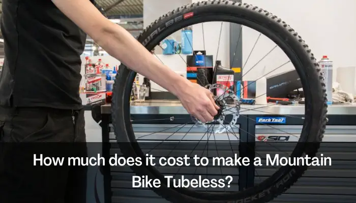 How Much Does it Cost to Make a Mountain Bike Tubeless