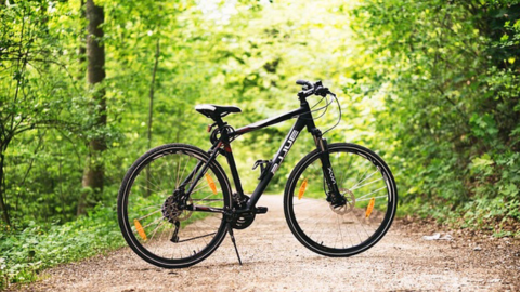 Comfort Bike Or Mountain Bike Which Is Perfect For You
