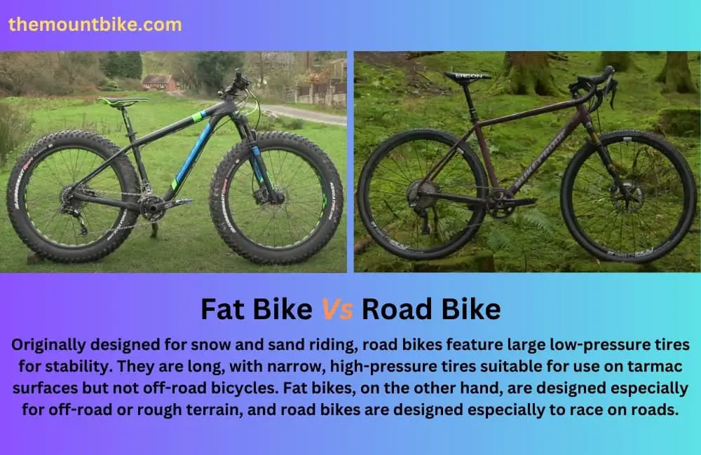 Fat Bike Vs Road Bike