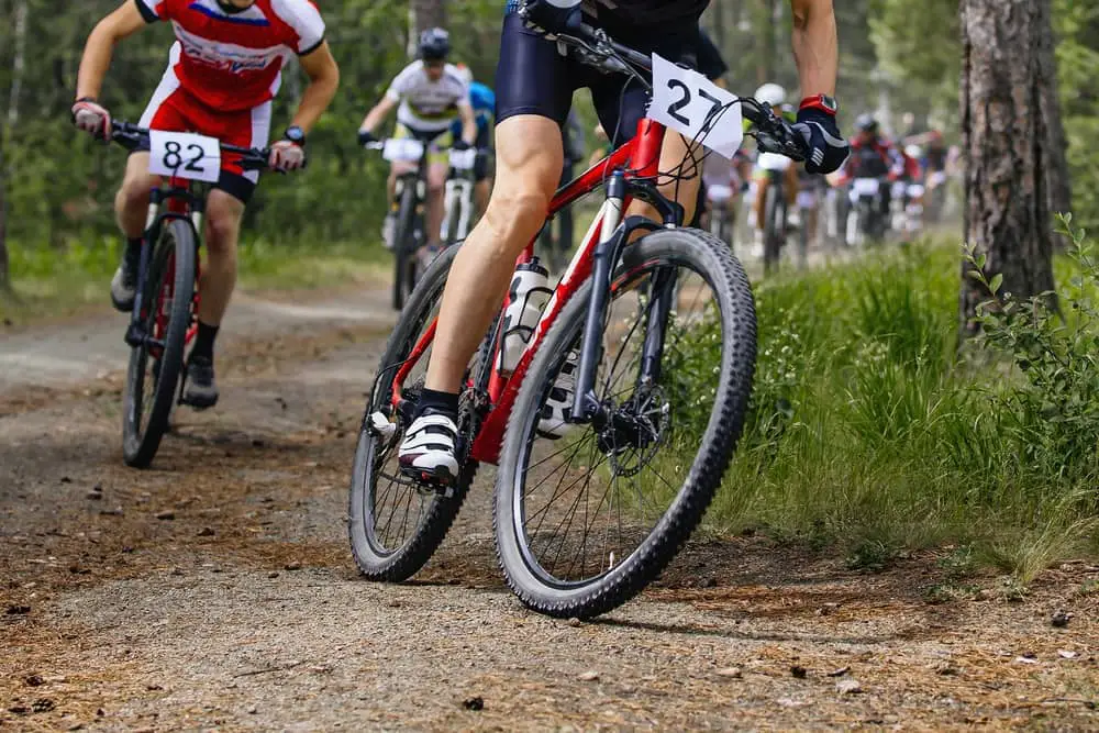 Mountain bike vs Comfort bike