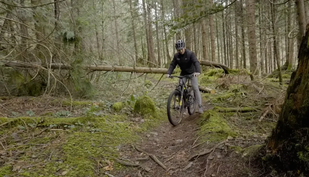 Factors Affecting Mountain Bike Weight