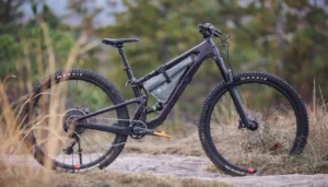 Santa Cruz Tallboy